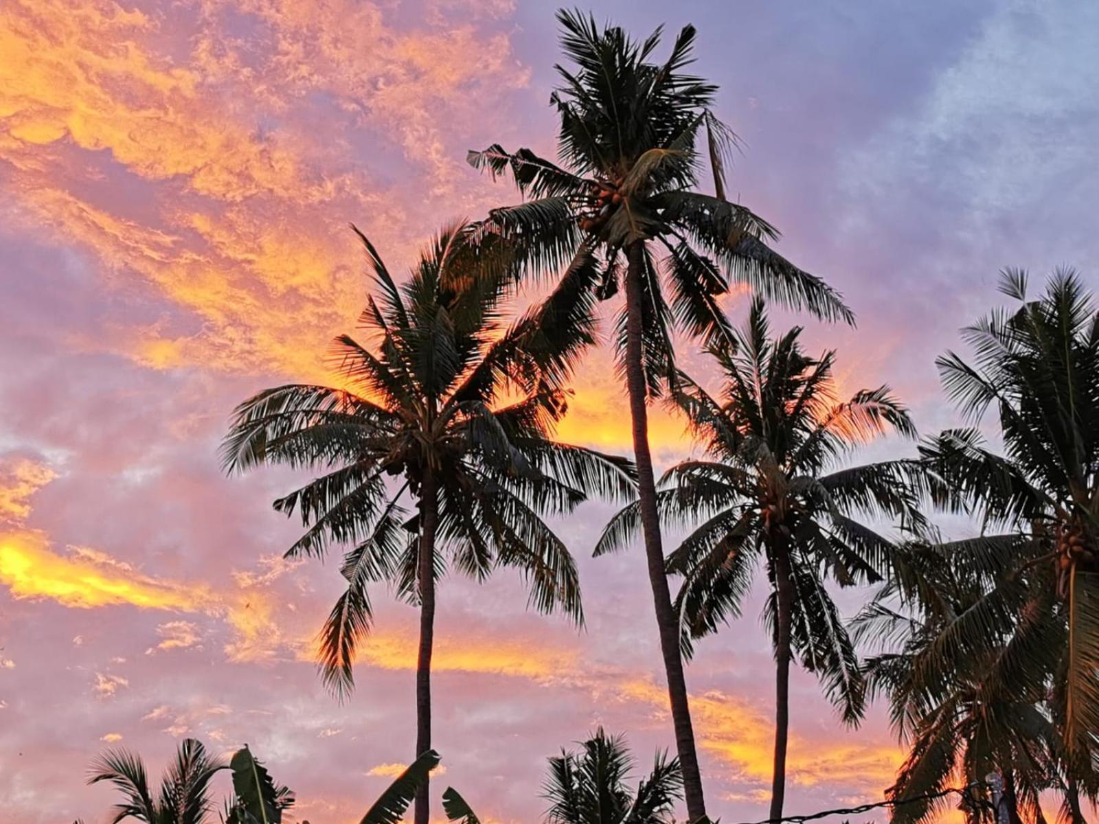 Villa Silence โลวินา ภายนอก รูปภาพ
